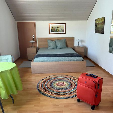 Queen Guest Room Mont-sur-Rolle Eksteriør billede